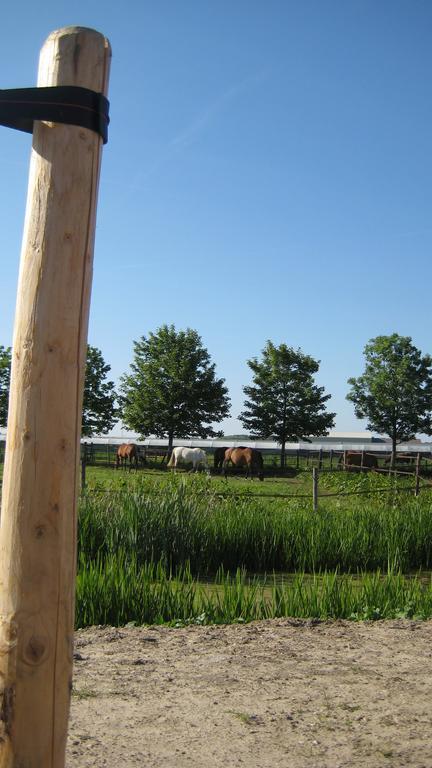 B&B Het Postenhofje Puiflijk Exteriér fotografie